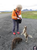 Island, Bauernhof Mödrudalur