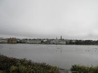 See Tjörnin in Reykjavik