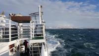 Island, Stykkisholmur, Bootsfahrt