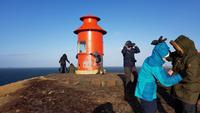 Island, Stykkisholmur, Wanderung zum Leuchtturm