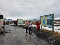 Island, Tingvellir