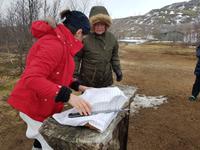 Island, unser Picknick beim Geysir