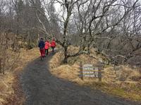 Island, Süden, Wanderung zum Svartifoss Wasserfall