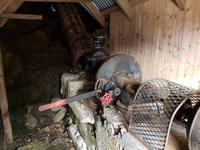 Island, Süden, Wanderung zum Svartifoss Wasserfall