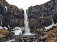 Island, Süden, Wanderung zum Svartifoss Wasserfall