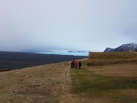 Island, Süden, Wanderung zum Svartifoss Wasserfall