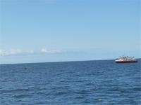 So nah dran, das war ein tolles Erlebnis