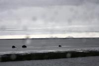 Westmänner-Inseln im Regen