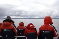 Warten auf die Wale!