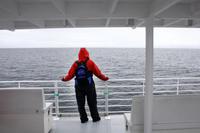 Warten auf die Wale!