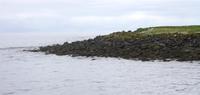 Puffin Island