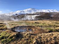 Goldener Kreis - Geysire (1)