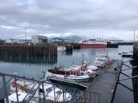Reykjavik Hafen