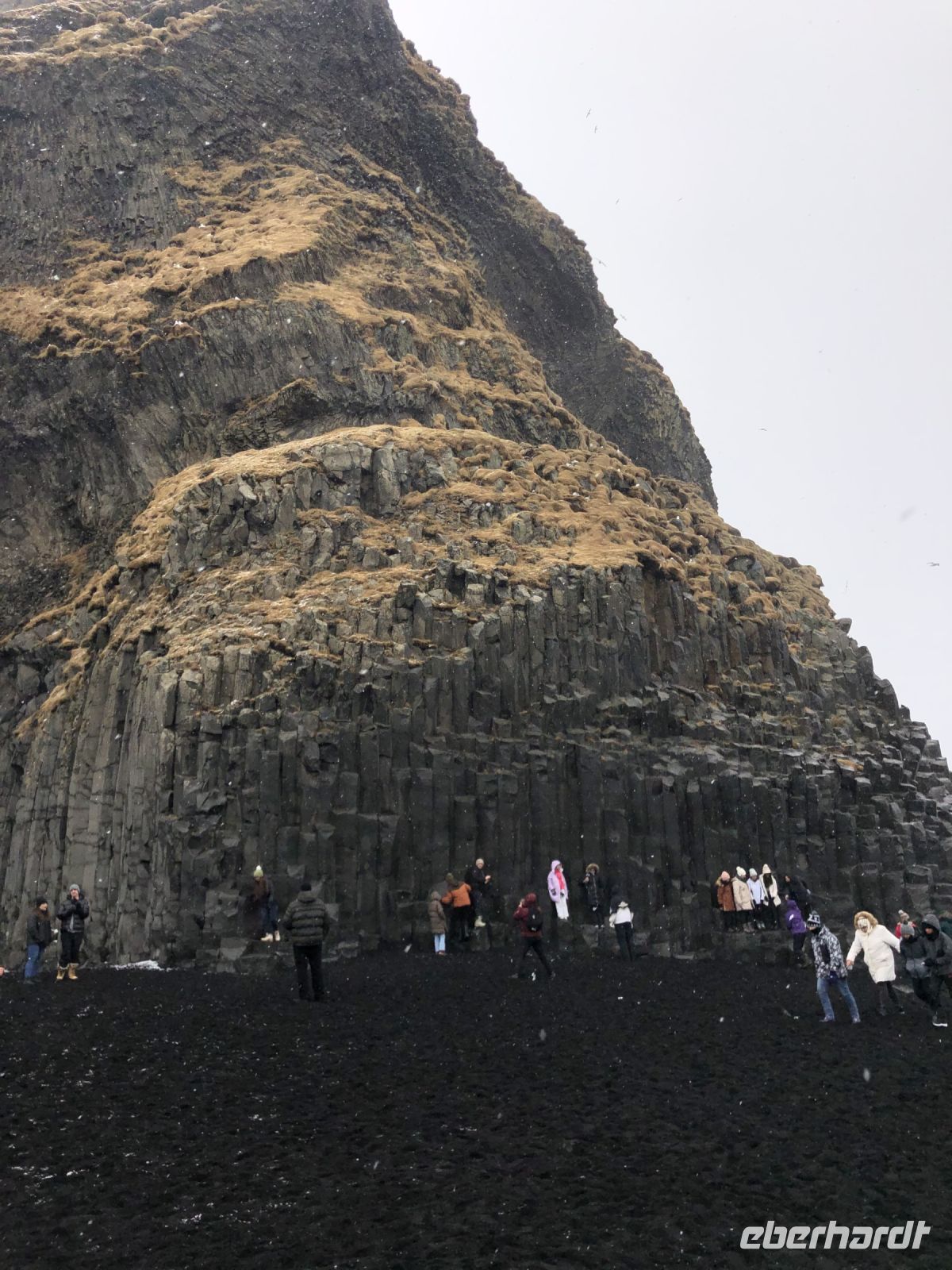 Schwarzer Lavastrand von Vik(7)