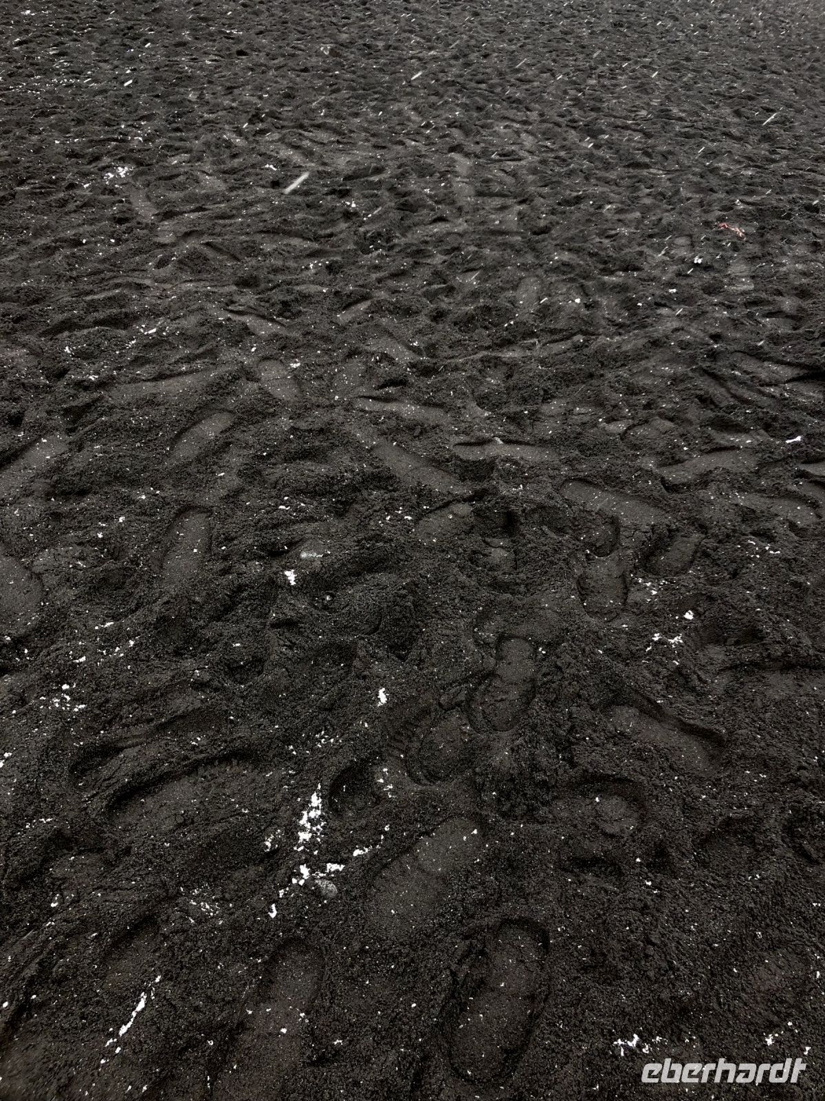 Schwarzer Lavastrand von Vik(8)