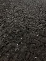 Schwarzer Lavastrand von Vik(8)