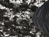 Schwarzer Lavastrand von Vik(9)