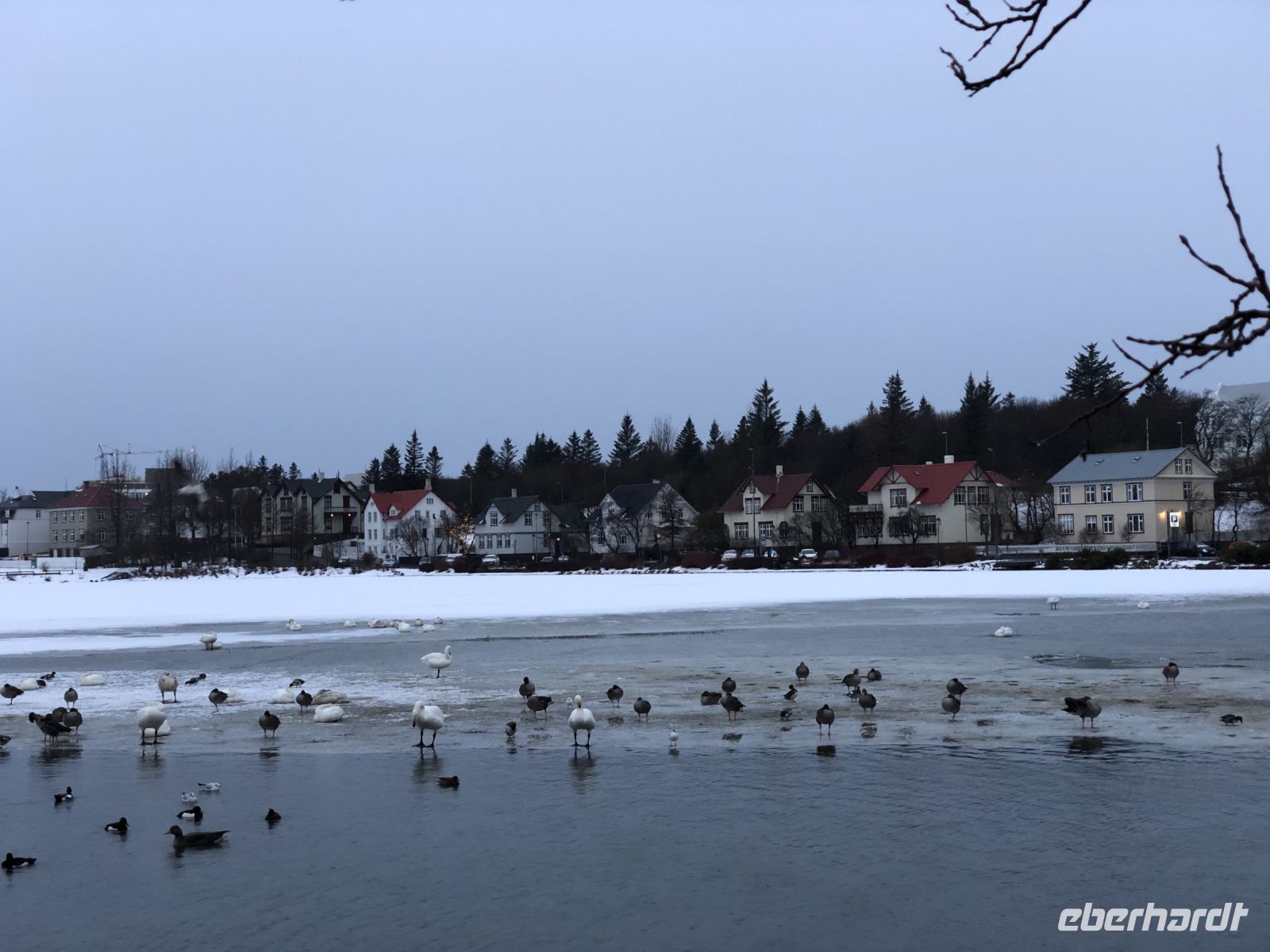 Stadtrundgang Reykjavik (2)
