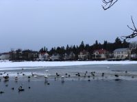 Stadtrundgang Reykjavik (2)