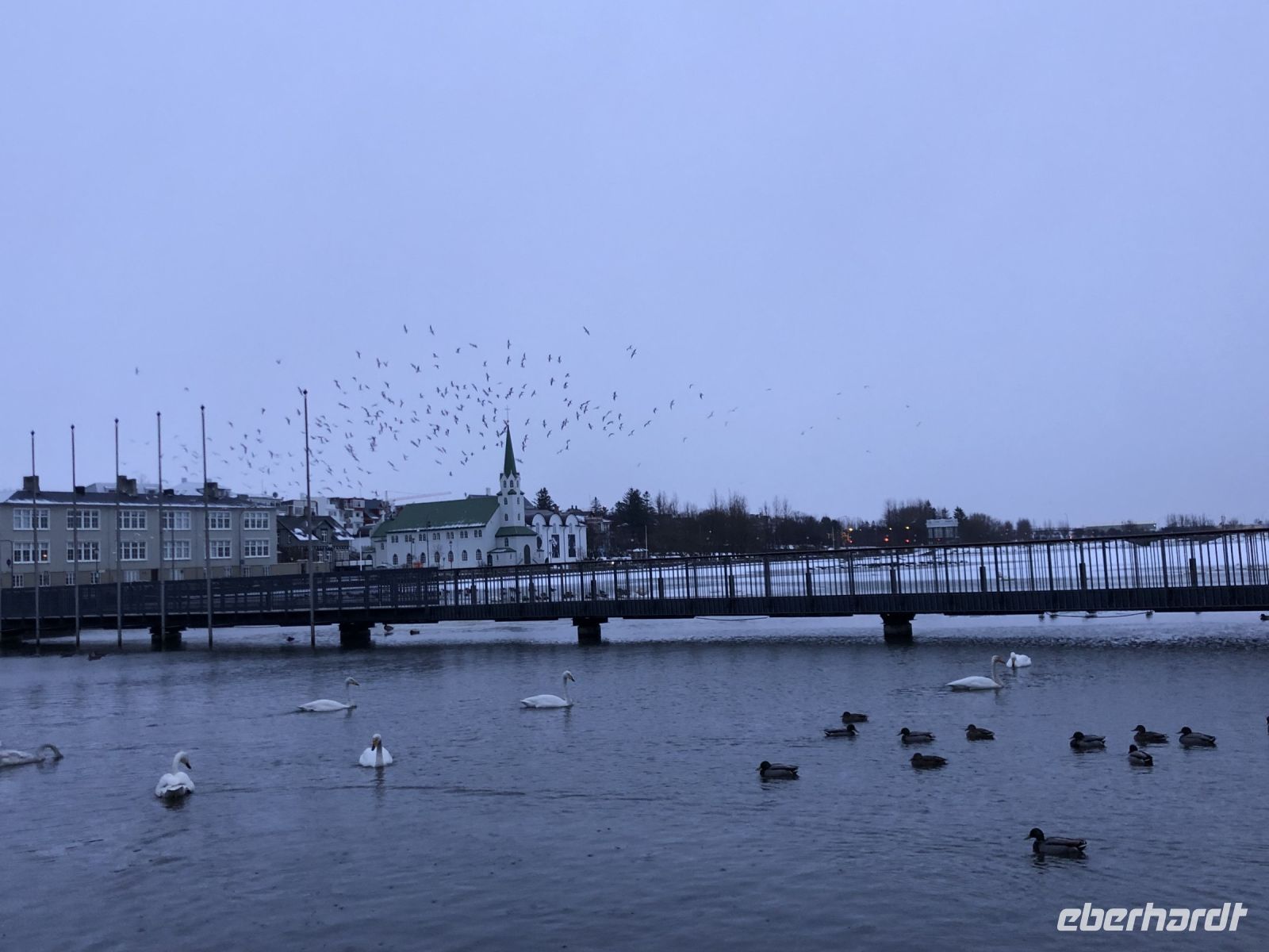 Stadtrundgang Reykjavik