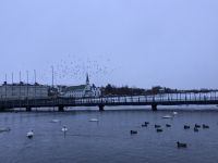 Stadtrundgang Reykjavik