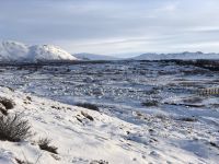 Thingvellir Nationalpark (5)