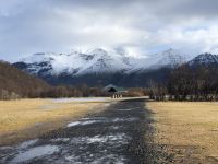 Vatnajökull-Nationalpark (4)