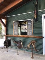 Vorführung Islandpferde (2)