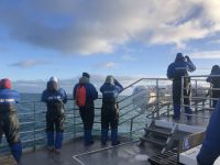 Walbeobachtungstour (1)