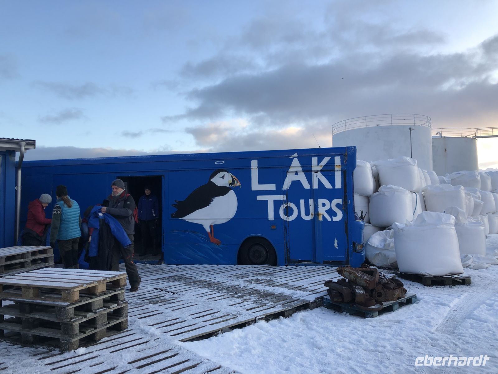 Walbeobachtungstour (2)