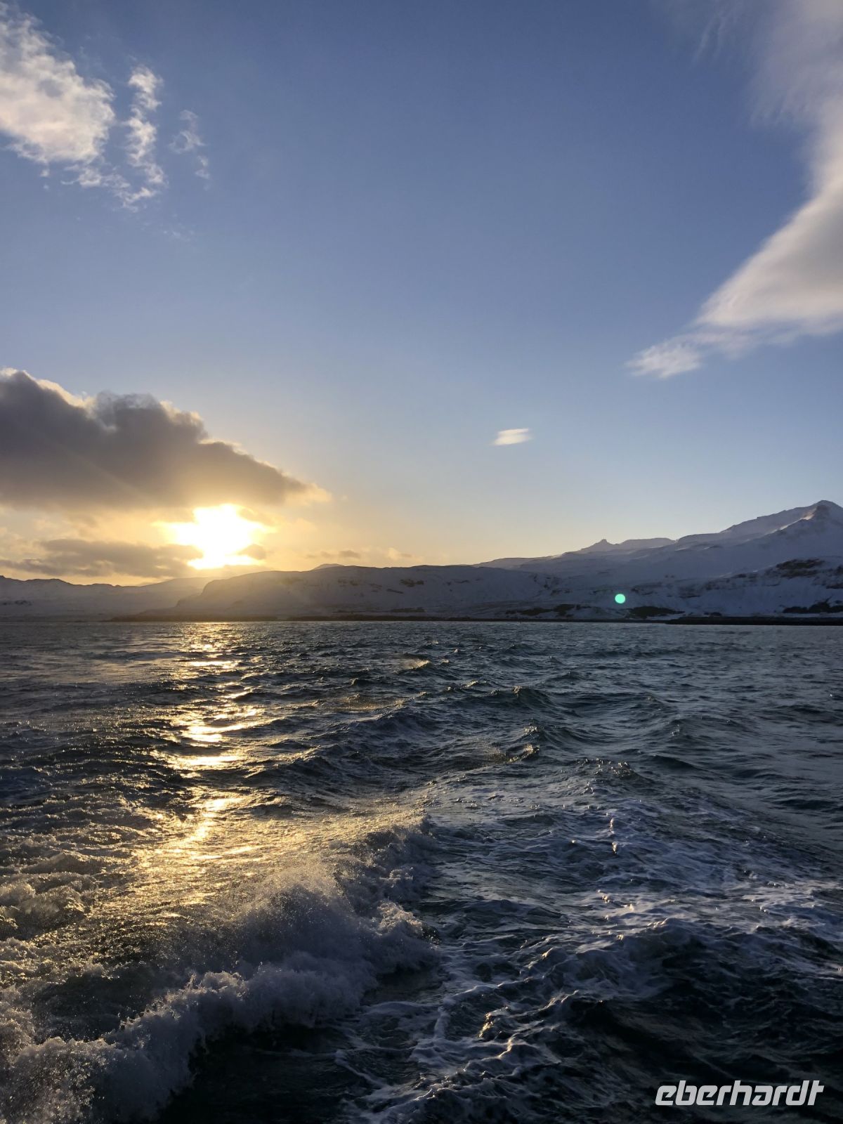 Walbeobachtungstour (5)