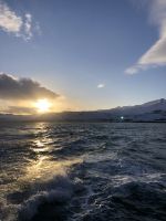 Walbeobachtungstour (5)