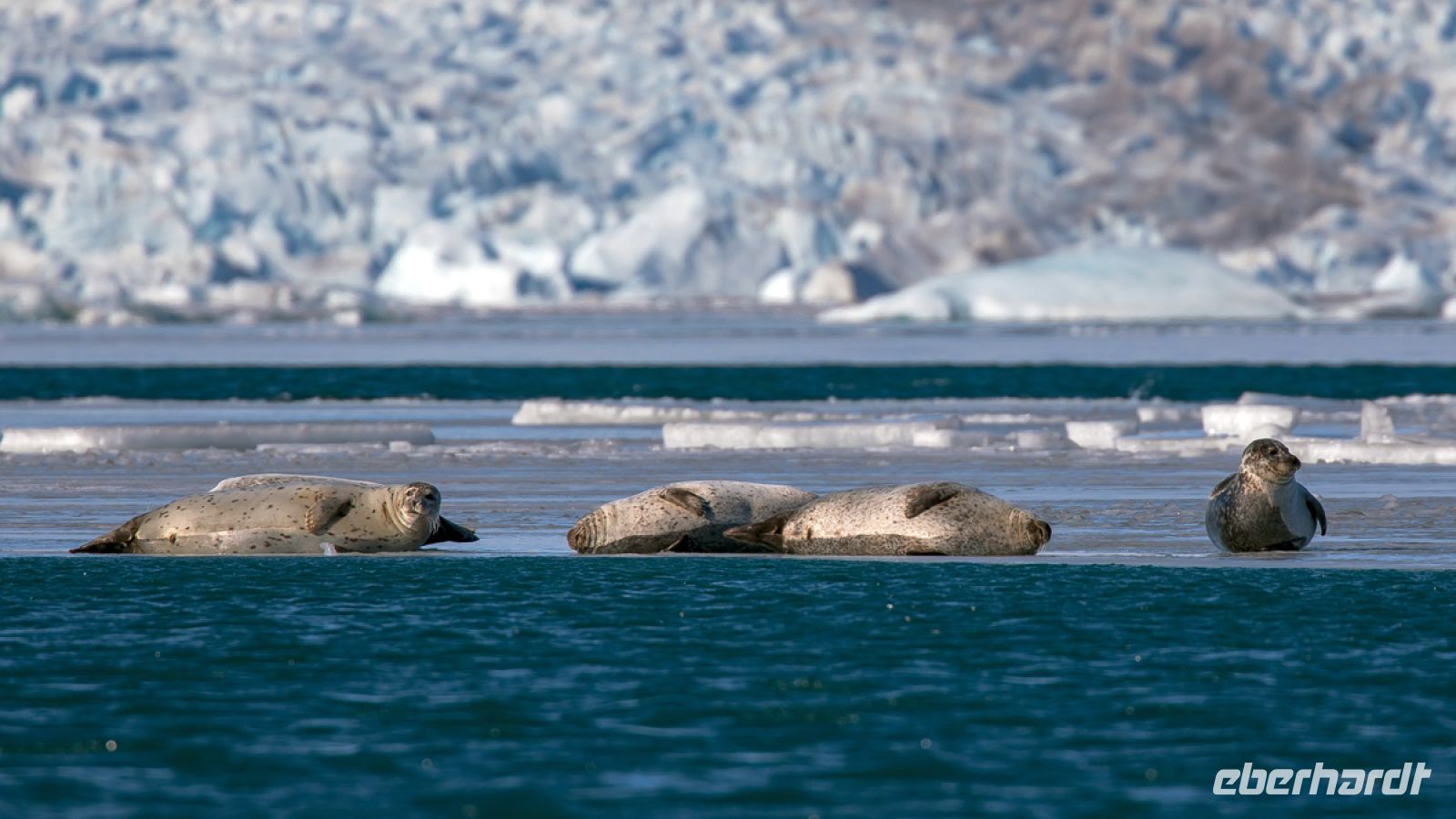 Gletscherlagune Jökullsarlon