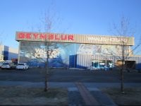 Reykjavik: Walmuseum