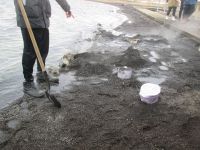 Einsetzen des Brottopfes in die heiße Erde
