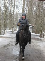 beim Tölt bleibt das Bierglas voll