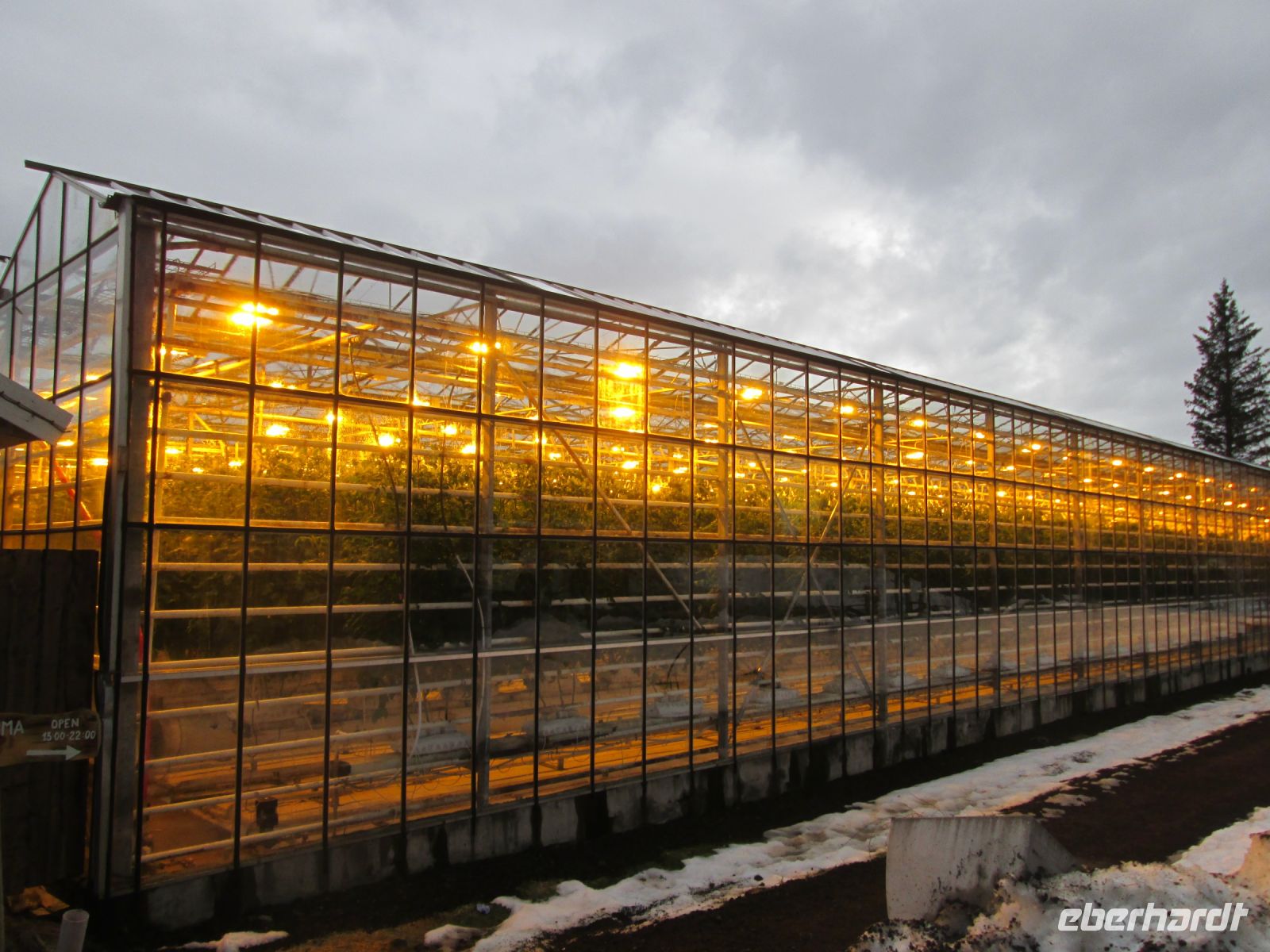 Gewächshaus Fridheimar