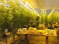 Verkauf von Leckereien