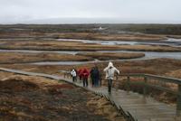 Thingvellir