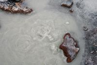 Spaziergang an den Geothermalquellen