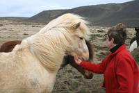 Zu Besuch bei echten Isländern