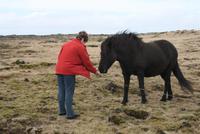 Zu Besuch bei echten Isländern