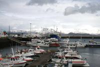 Im Hafen von Reykjavik