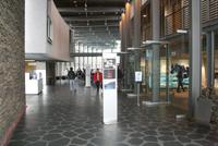 In der Blauen Lagune