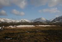 Landschaft aus dem Bus fotografiert