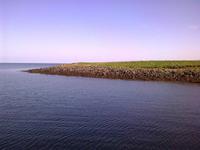 Blick auf die Puffin Island - hier gibt es viele Papageientaucher zu beobachten