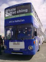 Dieser Bus brachte uns von der Walbeobachtung zum Hotel zurück