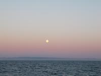 Sonnenuntergang auf Walbeobachtungstour