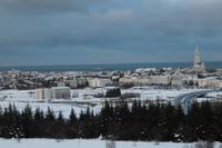 Blick über Reykjavik
