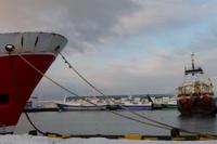 Hafen von Reykjavik 2